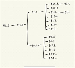 曹丁波家族人物圖