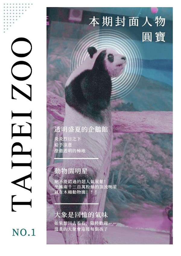 沁涼盛夏是動物園的閃亮回憶