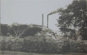 就遺跡