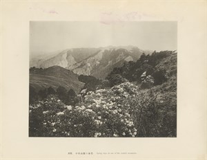 中央山脈的春色