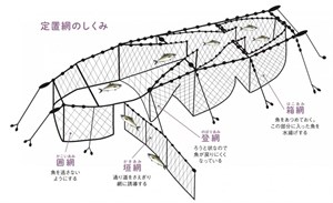 定置漁場結構說明