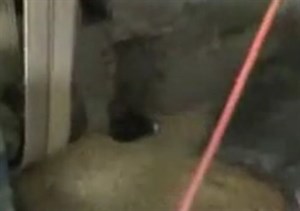 碾米機進口