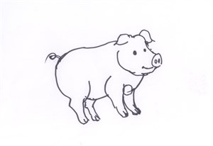 踢胸