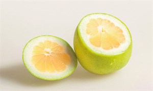柚子介紹