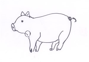 槽頭肉