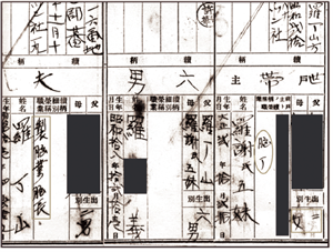 日本時代腦長與女性腦丁家族在甲仙從業的戶政資料