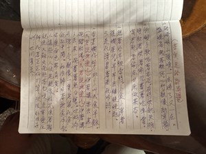 楊秋霜演出唱詞