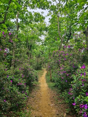 福源山風景