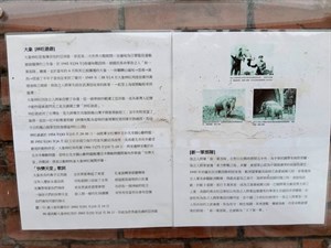 黃埔新村-林旺爺爺的故事