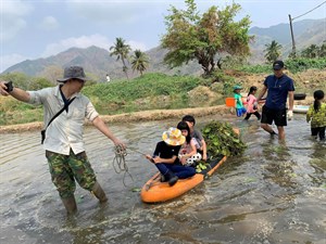 美濃湖民間集資棲地栽植水草