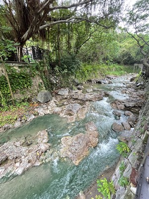 自然保留區的潺潺溫泉溪水