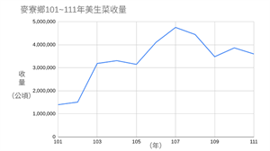 麥寮鄉101～111年美生菜收量