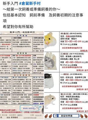 飼養倉鼠寵物之探討