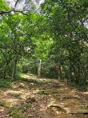 福源山
