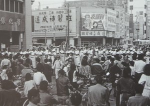 228民主運動