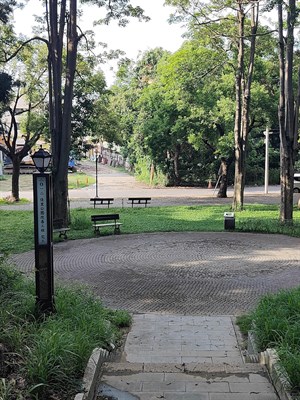 佳里中山公園的風景