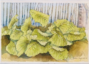 松山文創-海芋 (創作者：張芳寧)