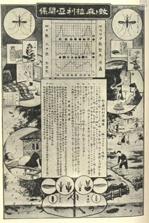 介紹國際間的瘧疾防治之道，並討論何者適合台灣。