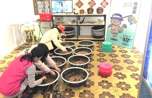 澎湖的宏達商行 結合當地漁村文，將店內一隅改造為「清緄」體驗場所
