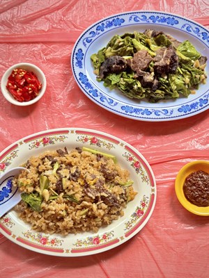 重感情的飯桶
