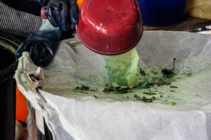 花蓮Dipit-復興無菸部落-打藍