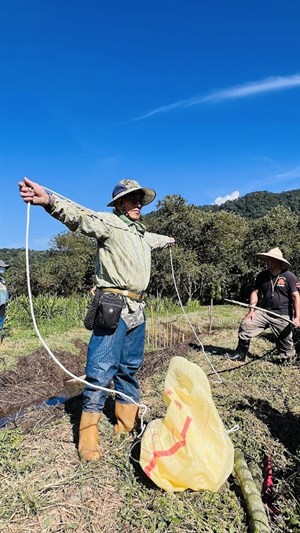 耆老準備將繩索綁上竹竿