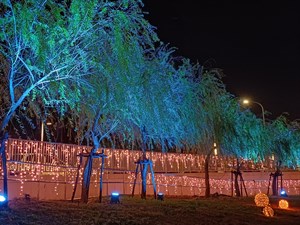 柳川沿岸-聖誕燈飾之楊柳依依