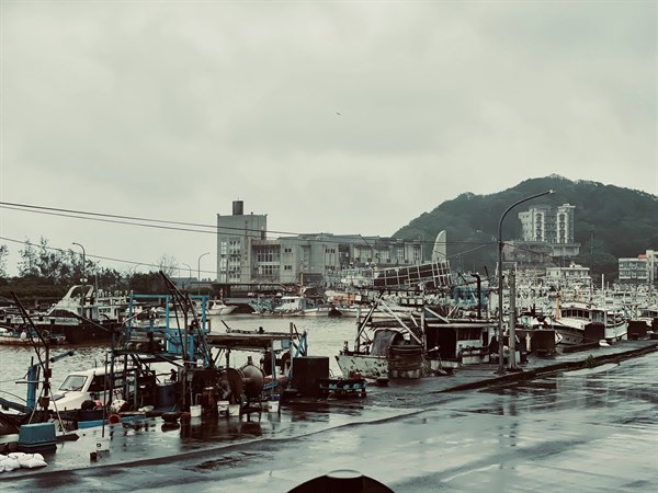 金山漁韻：蹦火仔與紅龜粿的文化之旅