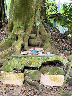黃賢仁家附近樹頭伯公-4