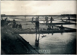 布袋嘴鹽田=Salt Field at Hoteishi