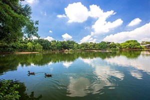 八德埤塘自然生態公園