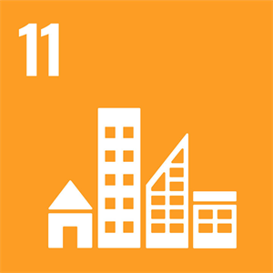 sdg11