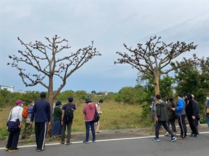 跟著河流去旅行-刺桐樹調查