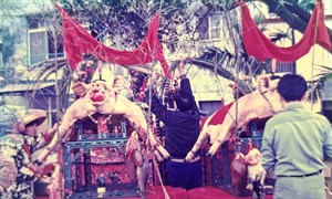 建醮祭典的豬公(7)