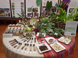 野菜