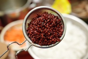 被炒過的胭脂樹籽