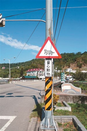 行車減速慢行