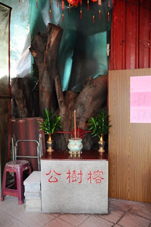 永和里福德祠——榕樹公