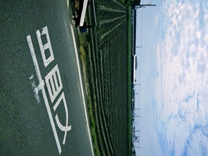 慢節奏