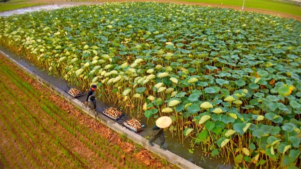 NEWS+ 牛斗山大眾史佇嘉