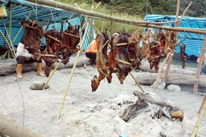鹿肉