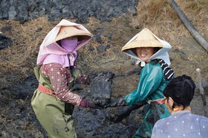 重塑消失的「huê-phué」傳統工法