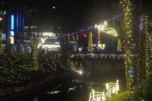 中山綠橋夜景