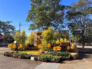 埔里花卉展覽圖片1