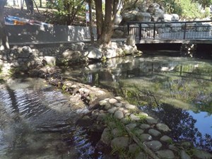 梅川親水公園