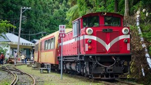 阿里山小火車改行觀光