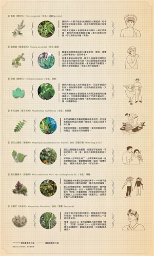 7種荖濃常見民族植物