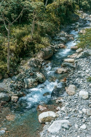 八仙山國家森林遊樂區 十文溪、佳保溪合流