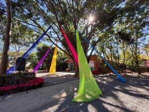 埔里花卉展覽圖片3