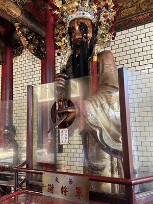 謝將軍